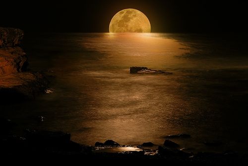 Natural Scenes (1)
